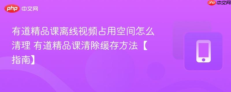 有道精品课离线视频占用空间怎么清理 有道精品课清除缓存方法【指南】