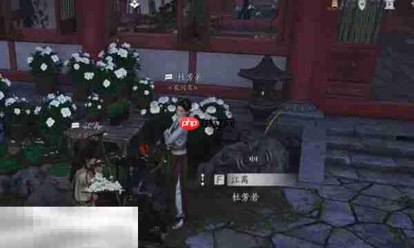 燕云十六声杜芳若怎么结交 杜芳若对话攻略