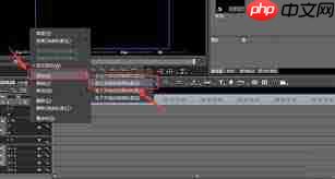 EDIUS如何添加视频音轨