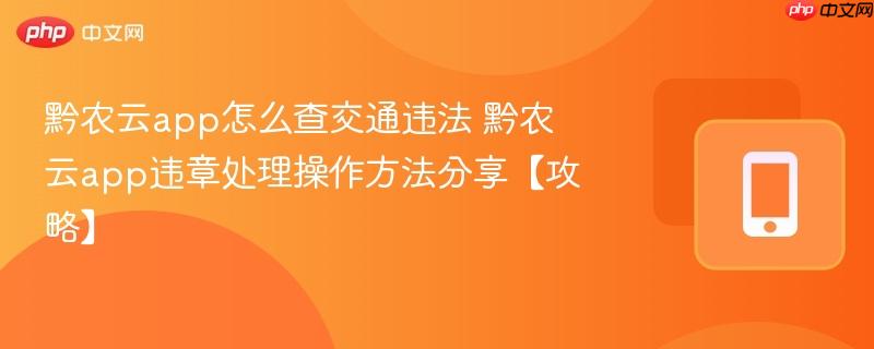 黔农云app怎么查交通违法 黔农云app违章处理操作方法分享【攻略】