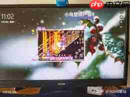 小鸟壁纸如何关闭桌面广告