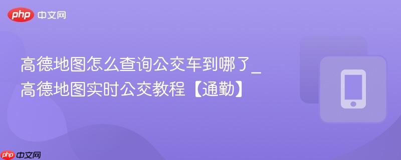 高德地图怎么查询公交车到哪了_高德地图实时公交教程【通勤】
