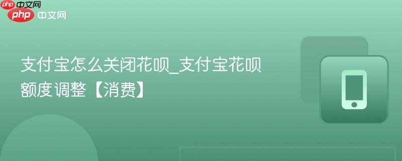 支付宝怎么关闭花呗_支付宝花呗额度调整【消费】
