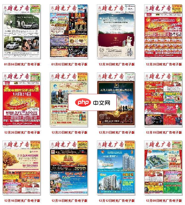 DM6在线读报系统