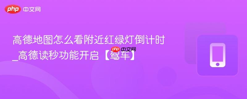 高德地图怎么看附近红绿灯倒计时_高德读秒功能开启【驾车】