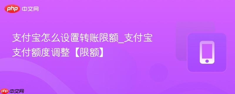 支付宝怎么设置转账限额_支付宝支付额度调整【限额】