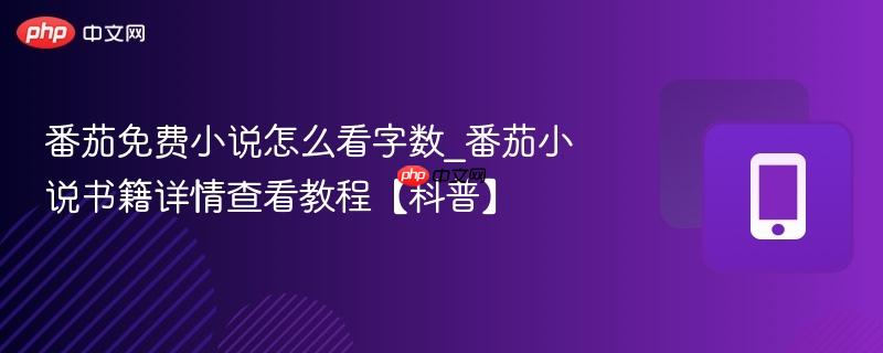 番茄免费小说怎么看字数_番茄小说书籍详情查看教程【科普】