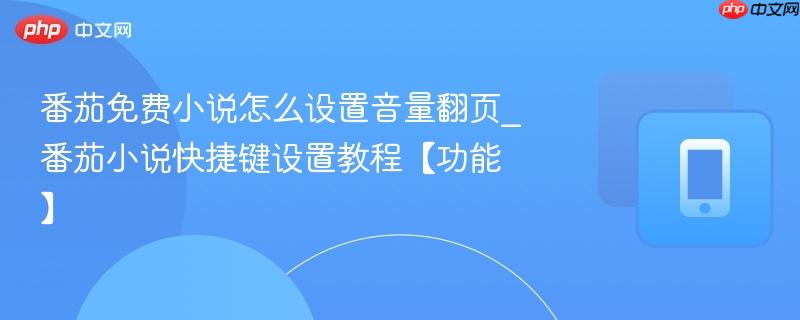 番茄免费小说怎么设置音量翻页_番茄小说快捷键设置教程【功能】