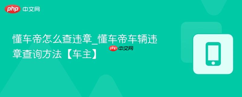 懂车帝怎么查违章_懂车帝车辆违章查询方法【车主】