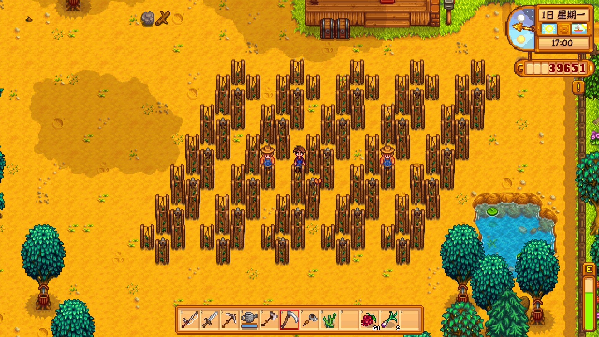 星露谷物语第一年夏1日要做什么