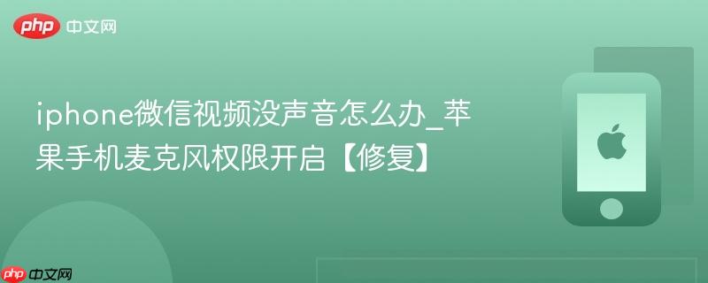 iphone微信视频没声音怎么办_苹果手机麦克风权限开启【修复】