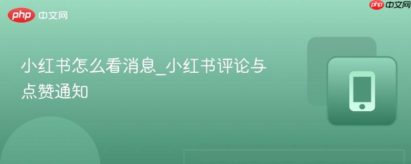 小红书怎么看消息_小红书评论与点赞通知