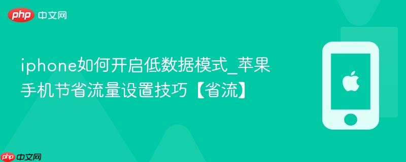 iphone如何开启低数据模式_苹果手机节省流量设置技巧【省流】
