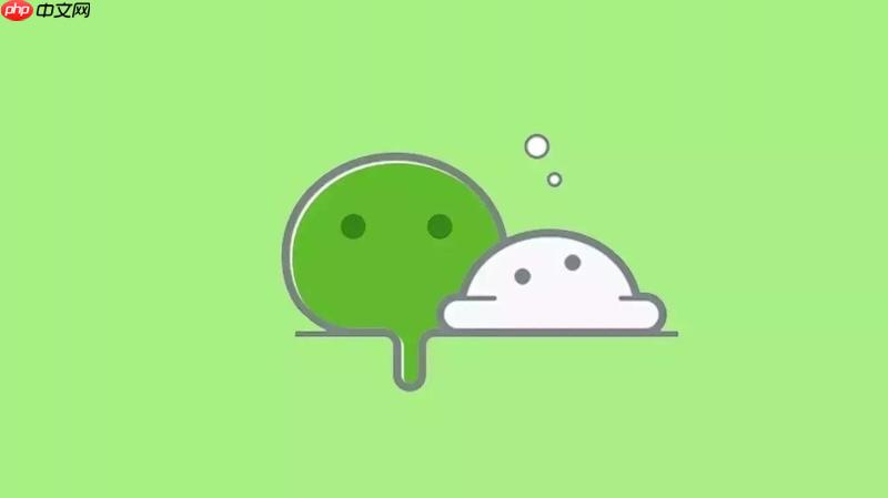 微信怎么开启深色模式_微信跟随系统夜间模式设置