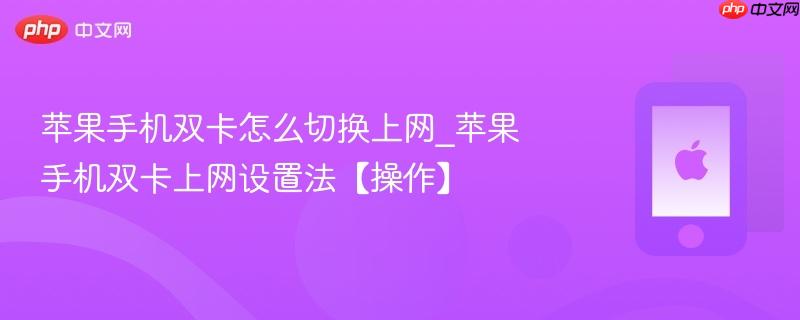 苹果手机双卡怎么切换上网_苹果手机双卡上网设置法【操作】