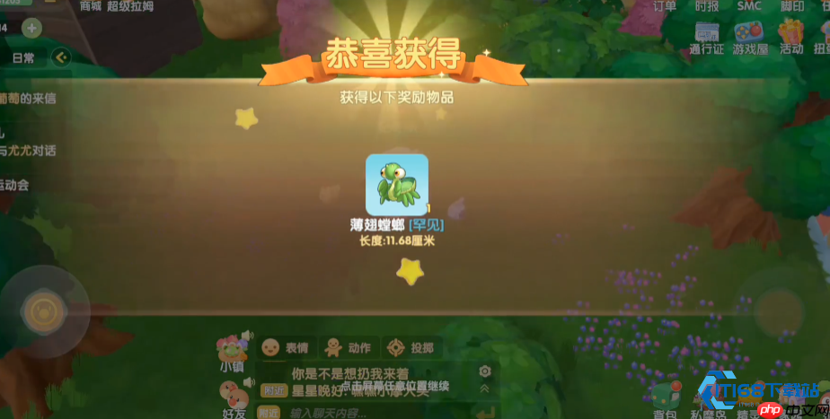 星夜追猎指南:萤火虫闪烁与螳螂伏击的冒险旅程