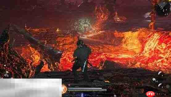 仁王3不顺逆用格挡与忍者遗发怎么获得 不顺逆用格挡获取方法