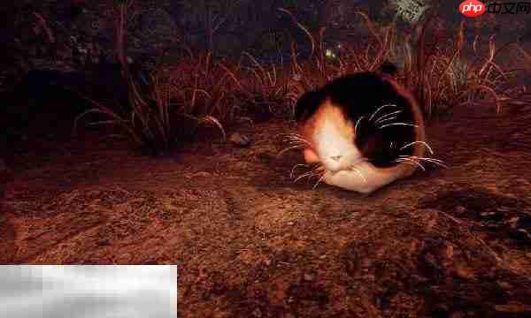 仁王3魂脉互动与使用条件介绍 仁王3魂脉如何使用