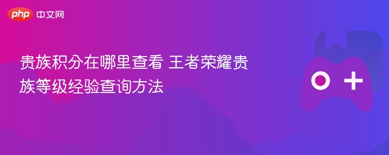 贵族积分在哪里查看 王者荣耀贵族等级经验查询方法 - 98游戏
