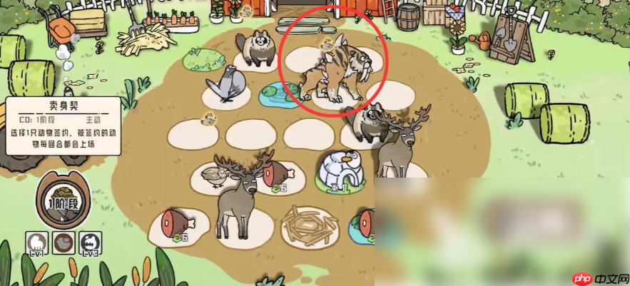 猫神牧场流派攻略及注意事项 猫神牧场流派介绍