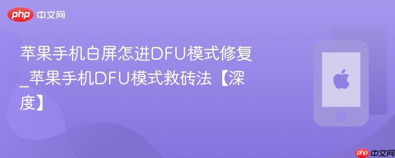 苹果手机白屏怎进dfu模式修复_苹果手机dfu模式救砖法【深度】