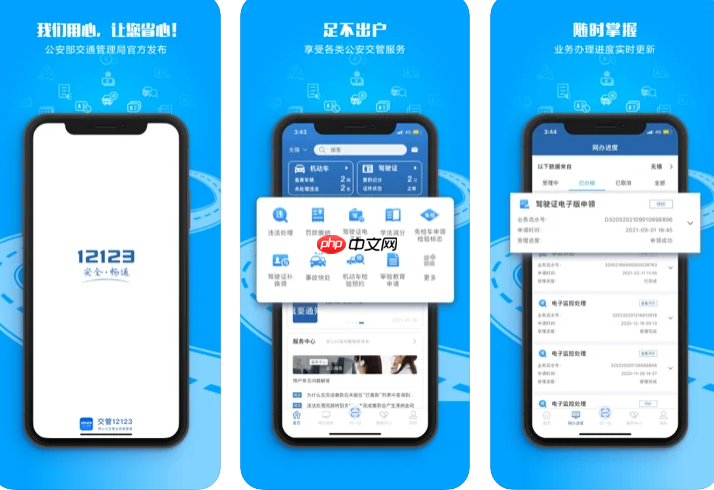 交管12123怎么申请免检标_12123六年免检标志申领