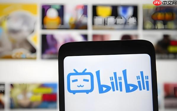 b站怎么开启投屏功能看视频_b站连接电视投屏操作方法【入门】