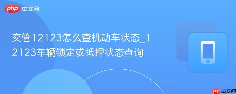交管12123怎么查机动车状态_12123车辆锁定或抵押状态查询