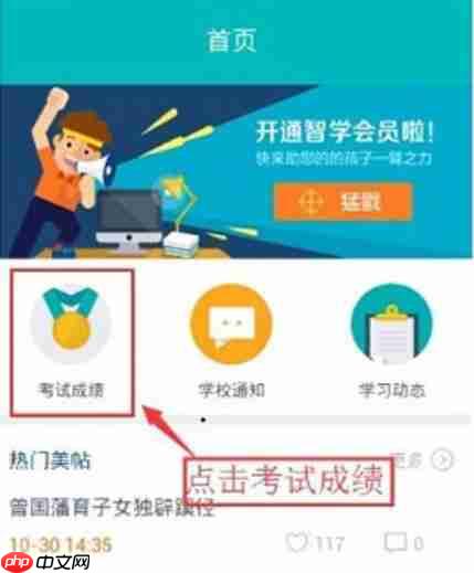 智学网怎么查成绩？-智学网查成绩的方法