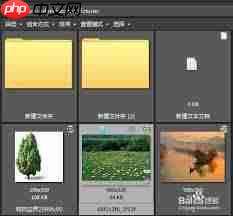如何用ACDSee打开图像