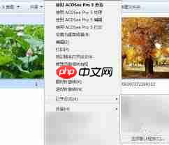 如何用ACDSee打开图像