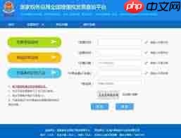 全国发票查验平台如何使用