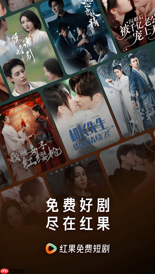 红果免费短剧黑屏无法播放怎么办_红果免费短剧播放异常修复【解答】