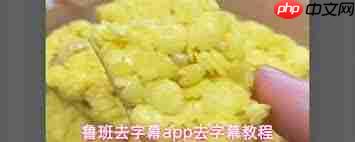 鲁班去字幕app如何去除字幕