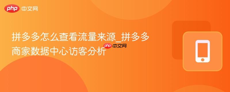 拼多多怎么查看流量来源_拼多多商家数据中心访客分析