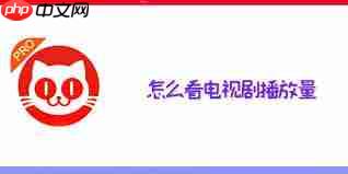 猫眼专业版如何看电视剧播放量