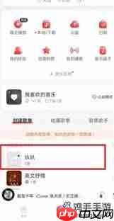 网易云音乐怎么查看正在播放歌曲的歌词