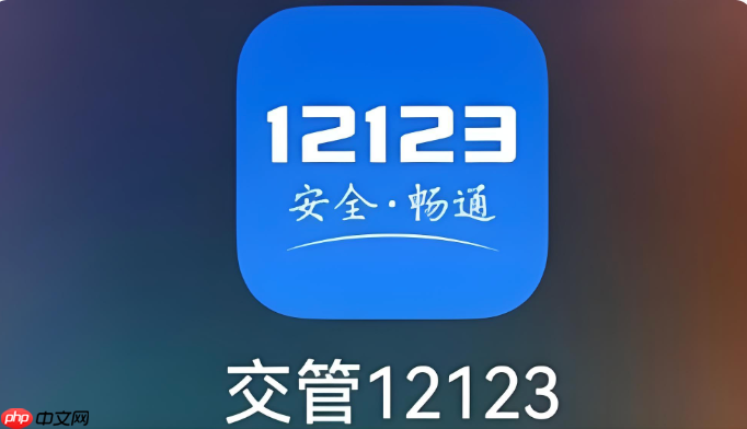 交管12123怎么办理长期驾驶证_12123长期有效驾照换领