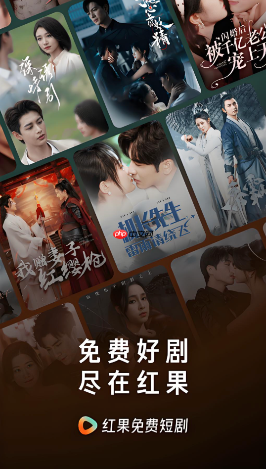 红果免费短剧怎么在pad上使用_红果免费短剧平板适配说明【手册】