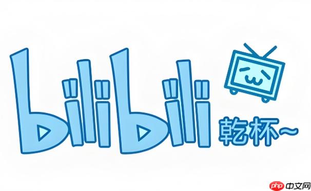 b站怎么修改支付密码信息_b站钱包安全设置重置方法【精选】