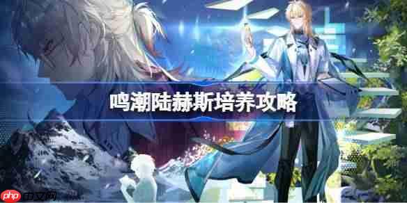 鸣潮陆赫斯培养攻略-鸣潮陆赫斯声骸武器阵容推荐