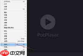 PotPlayer如何在屏幕上显示消息