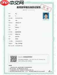 学信网报告在线验证码怎么用