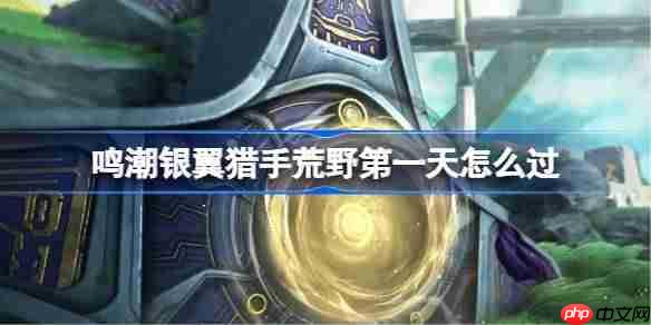 鸣潮银翼猎手荒野第二天怎么过-鸣潮银翼猎手荒野第二天攻略