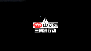 菜鸟app一直卡在启动页面怎么办