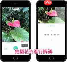 形色识花怎么删除拍摄的照片