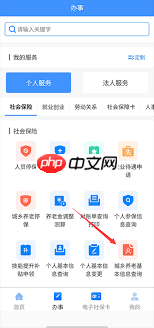 智慧人社平台支持的养老认证方式有哪些