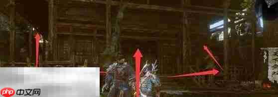 仁王3生存于暗影者任务完成方法 生存于暗影者怎么过