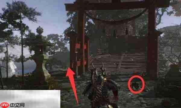 仁王3追求强大的火力支线怎么做 追求强大的火力支线完成方法