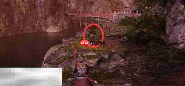 仁王3寄托于药中的思念怎么完成 寄托于药中的思念完成方法